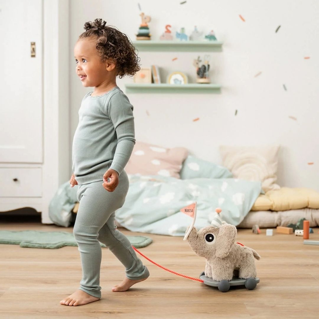 DONEBYDEER Nachziehbares 2-in-1 Spielzeug personalisiert - Elefant - wunderwunsch