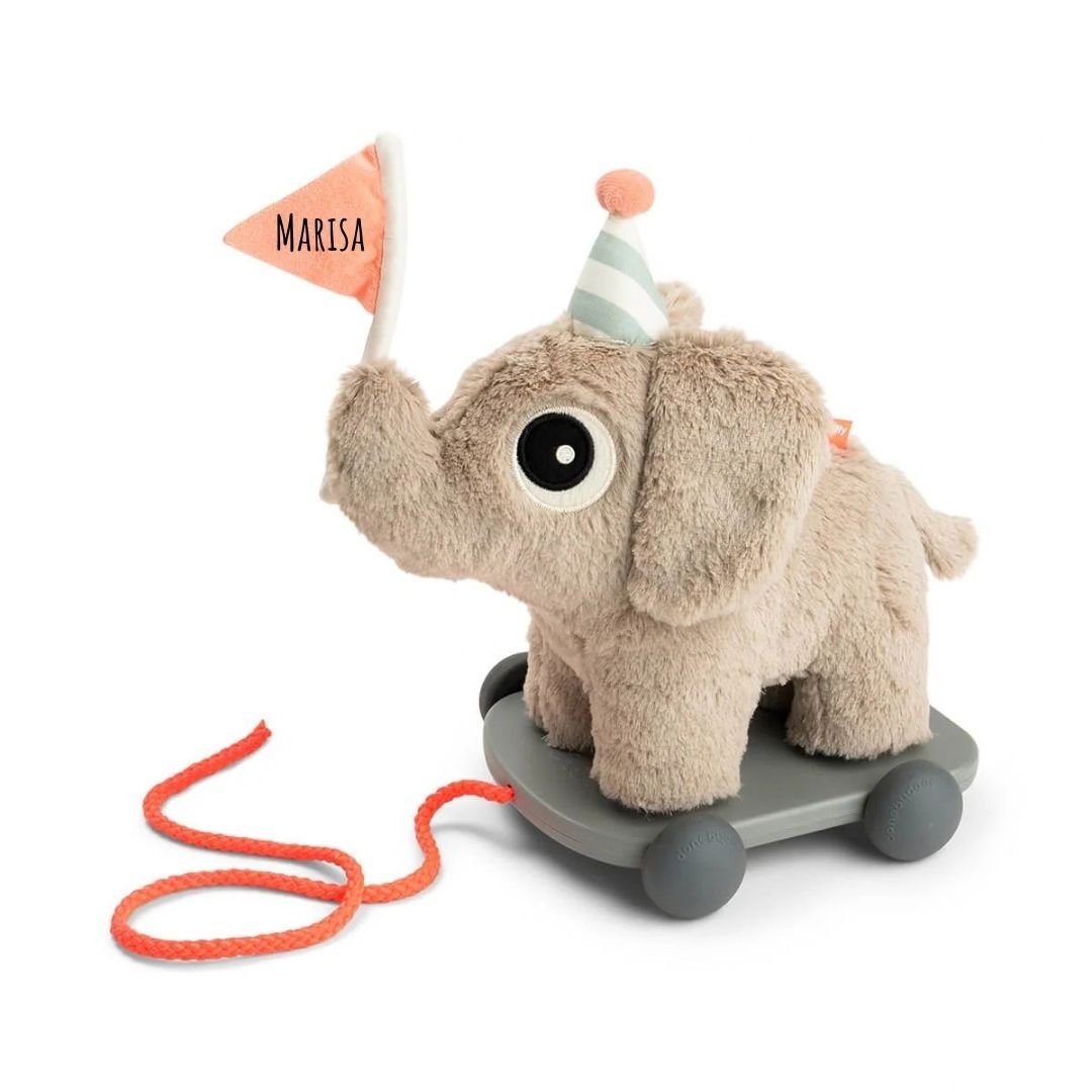 DONEBYDEER Nachziehbares 2-in-1 Spielzeug personalisiert - Elefant - wunderwunsch
