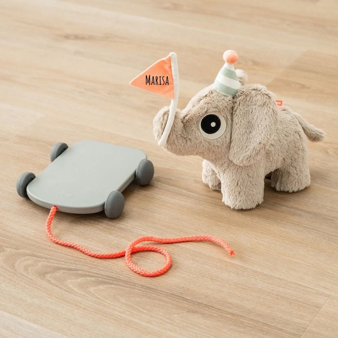 DONEBYDEER Nachziehbares 2-in-1 Spielzeug personalisiert - Elefant - wunderwunsch
