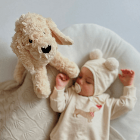 Hund Kuscheltier personalisiert - wunderwunsch