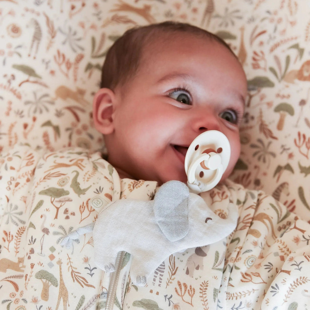 LITTLE DUTCH Schnullertuch - Elefant - wunderwunsch