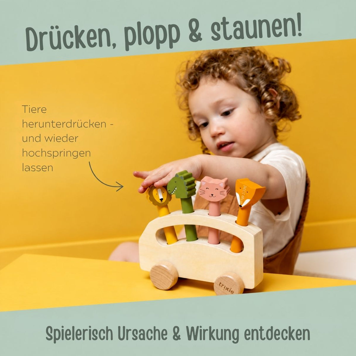 TRIXIE Pop-up Tierbus aus Holz personalisiert - wunderwunsch